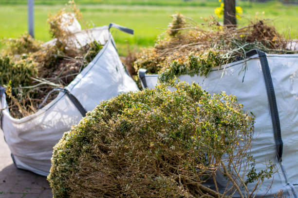 Best Mattress Removal Service  in Golden Meadow, LA